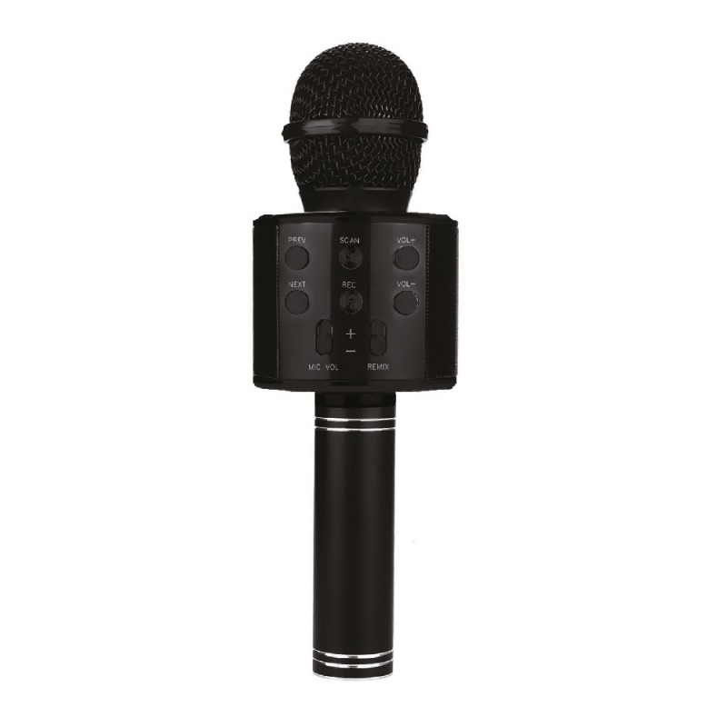 Wireless Microphone Karaoke