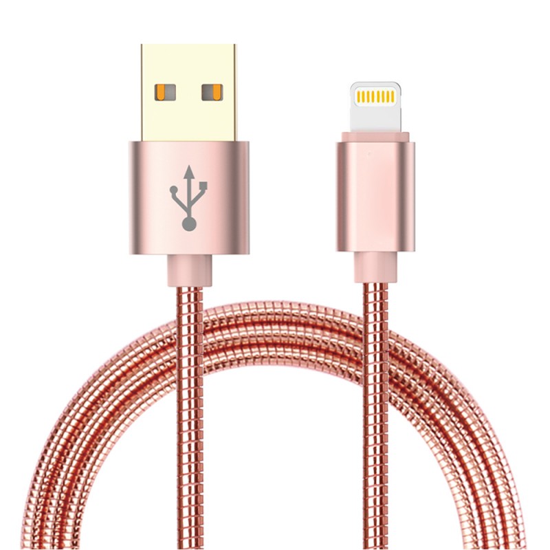 Lightning  with Reversible USB Cable