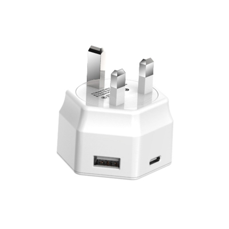 15W Dual Port Travel Charger with Type-C Port