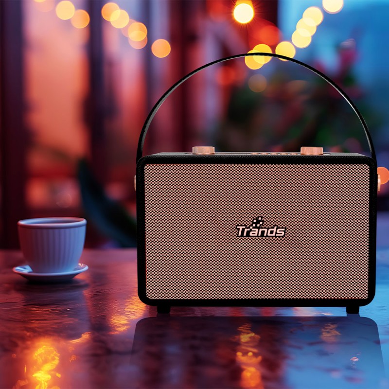 Portable Wireless Speaker