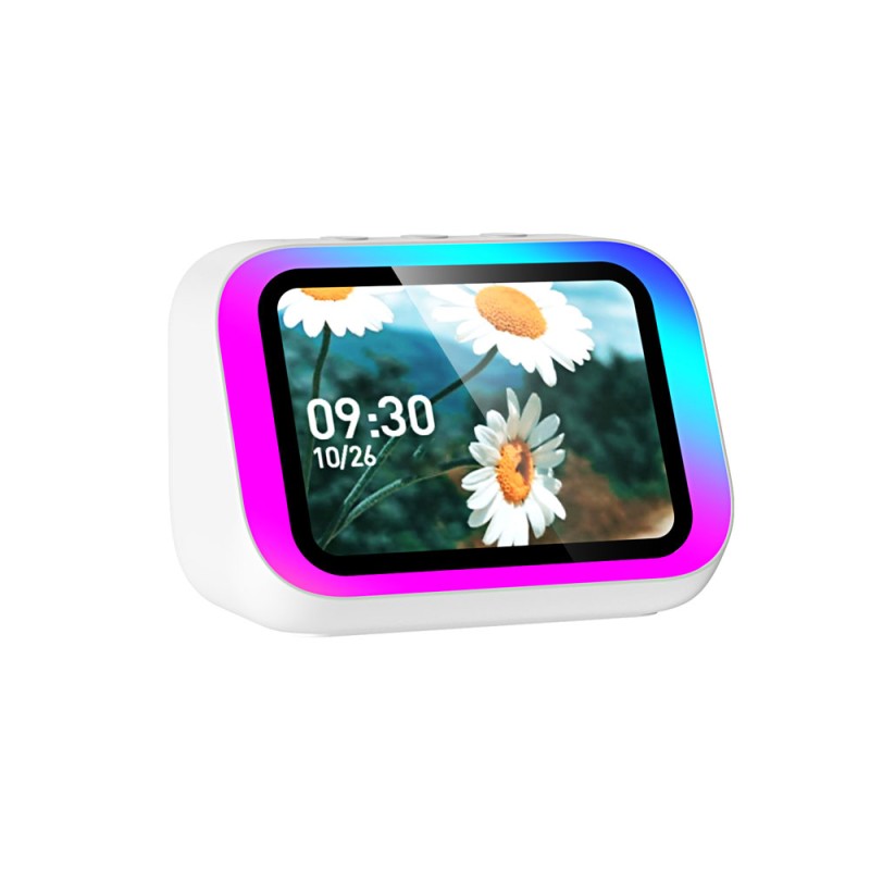 Multifunctional Smart Speaker