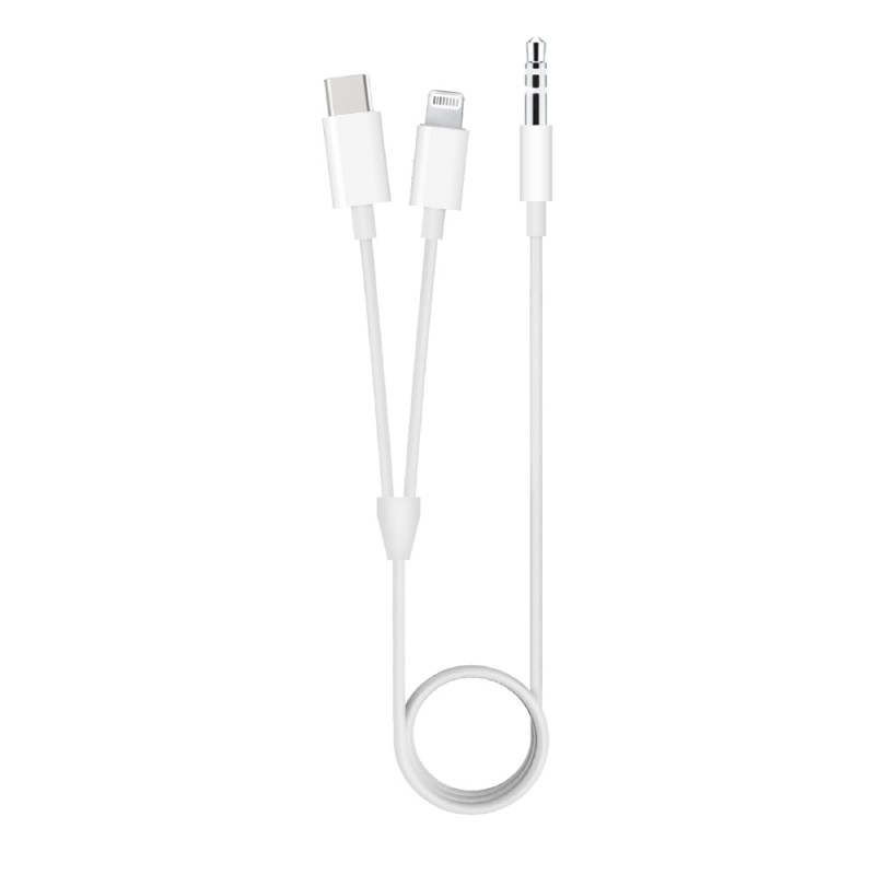 2 In 1 Lightning & Type-C Aux Audio Cable