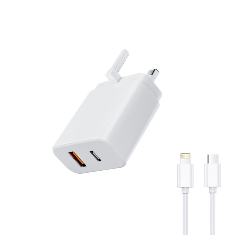 38W Travel Charger