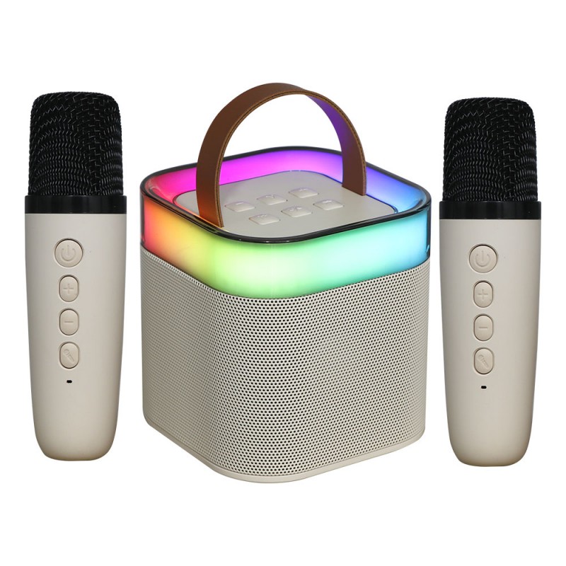 Portable Karaoke Wireless Speaker