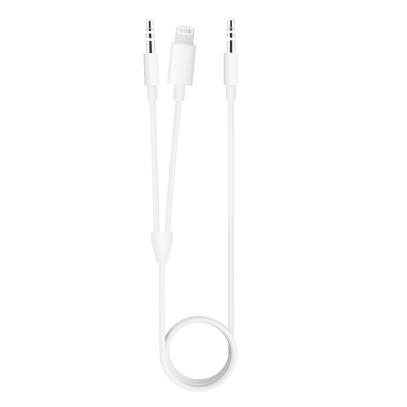 2 In 1 Lightning & Aux Plug Cable