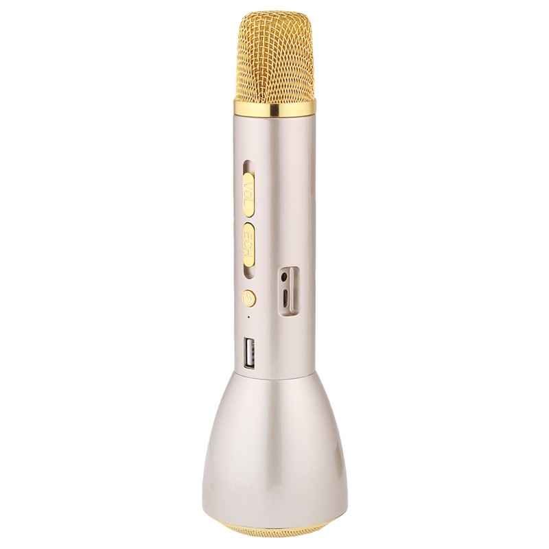 Wireless Microphone Karaoke with Bluetooth Speaker